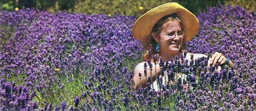 Nhà biệt thự, shophouse, nhà phố thương mai