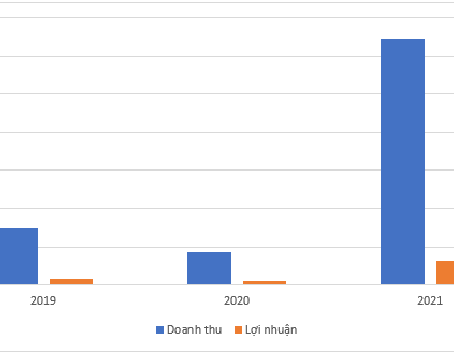 BVL: BV LAND REPORTS BENEFITS IN 2021: INCREASE 5.9 TIMES COMPARED TO 2020