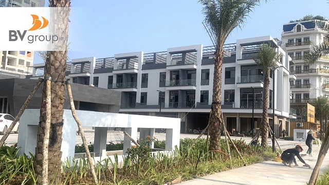 5108875f0888c4 d69d99.jpg