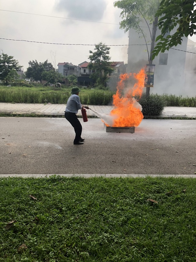 c8cf2fb44912b3 4cea03.jpg