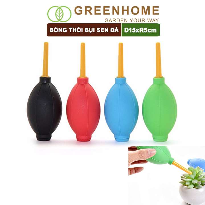 Bóng Cao Su Thổi Bụi, D15xr5cm, Dụng Cụ Làm Vườn, Làm Sạch Cây Sen Đá, Bonsai, Màu Sắc Ngẫu Nhiên