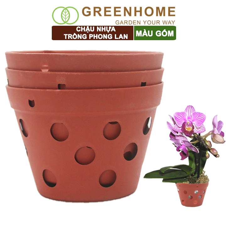 Chậu Trồng Lan, R15xC10cm, Nhựa Màu Gốm, Bền, Đẹp, Chống Rơi Vỡ, Thoáng Rễ, Giá Thành Tốt
