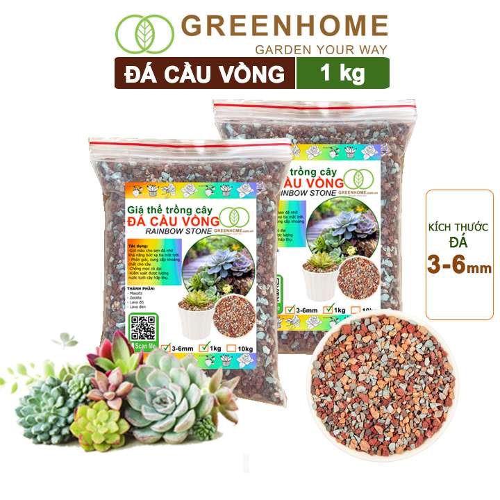 Đá Cầu Vồng Trồng Sen Đá, Kích Rễ, Đậm Màu, Thoát Nước Tốt, Trộn Đất, Rải Bề Mặt Đều Tốt