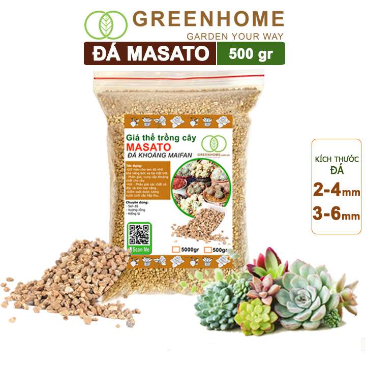 Đá Masato, Loại Cao Cấp, Sạch Bụi, Không Vụn, Rải Mặt, Kích Rễ, Giúp Sen Đá Lên Màu Nhanh