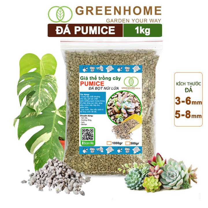 Đá Pumice, Đất Trồng Sen Đá, Giá Thể Trồng Cây, Lót Chậu, Nhiều Khoáng Chất, Thoát Nước Tốt
