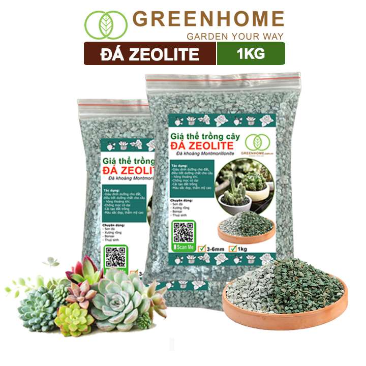 Đá Zeolite, Bao 1kg, Giá Thể Trồng Bonsai, Xương Rồng, Đất Nền Hồ Thuỷ Sinh