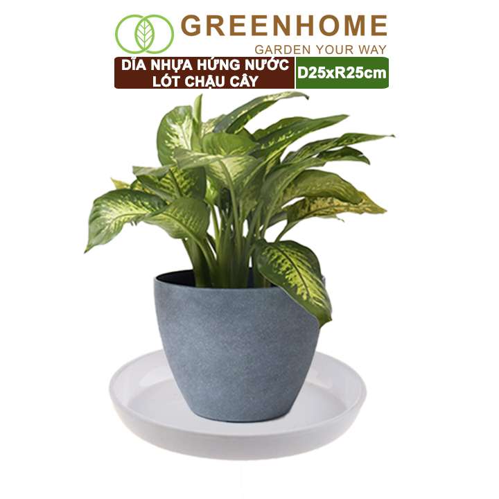 Đĩa Nhựa Lót Chậu Cây Greenhome, R25cm, Hứng Nước Giúp Sạch Bàn, Sàn, Nhựa Nguyên Sinh, Bền, Đẹp, Chóng Rơi Vỡ