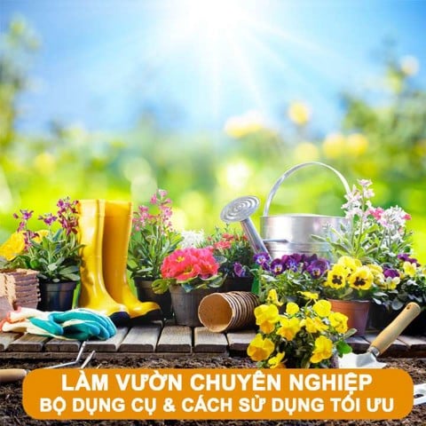Làm vườn chuyên nghiệp: Bộ dụng cụ và cách sử dụng tối ưu