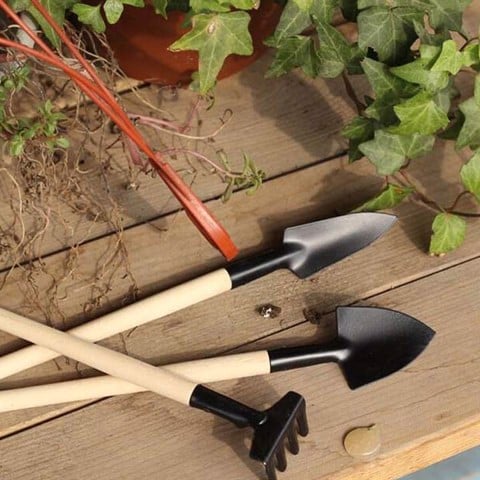 Bộ dụng cụ làm vườn mini có gì? Đồ làm vườn chất lượng