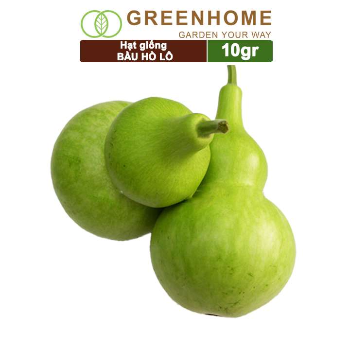 Hạt Giống Bầu Hồ Lô, Gói 0.2gr, Dễ Trồng Quanh Năm, Nảy Mầm Cao, Thu Hoạch Nhanh, Năng Suất Cao T11