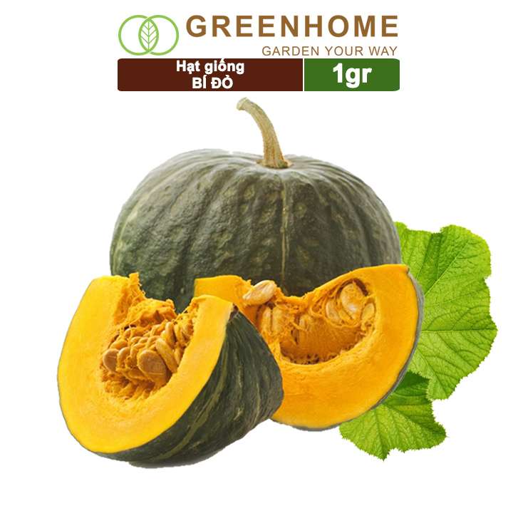 Hạt Giống Bí Đỏ, Gói 1gr, Dễ Trồng Quanh Năm, Nảy Mầm Cao, Thu Hoạch Nhanh, Năng Suất Cao T03
