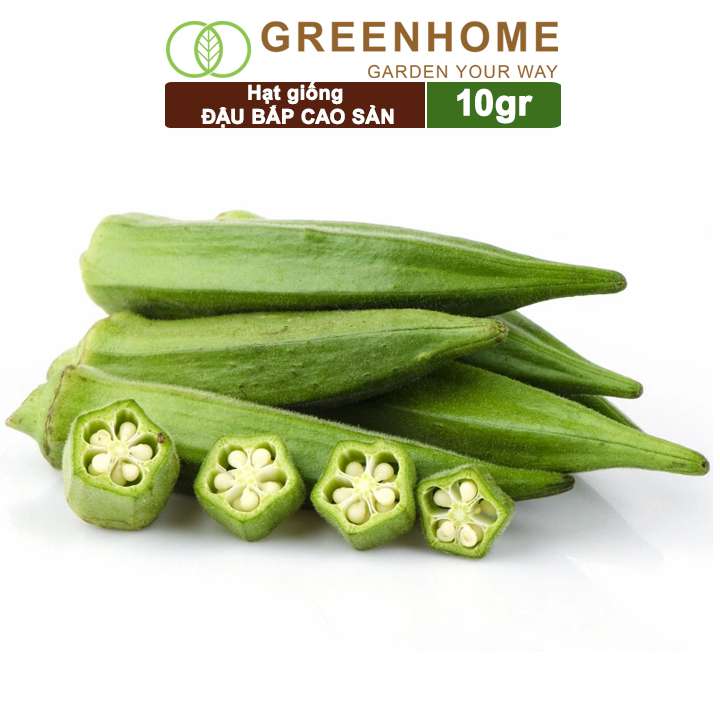 Hạt Giống Đậu Bắp, Gói 10gr, Dễ Trồng Quanh Năm, Nảy Mầm Cao, Thu Hoạch Nhanh, Năng Suất Cao T06