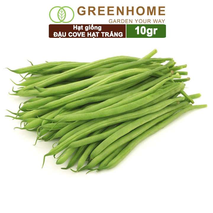 Hạt Giống Đậu Cove, Gói 10gr, Dễ Trồng Quanh Năm, Nảy Mầm Cao, Thu Hoạch Nhanh, Năng Suất Cao T07