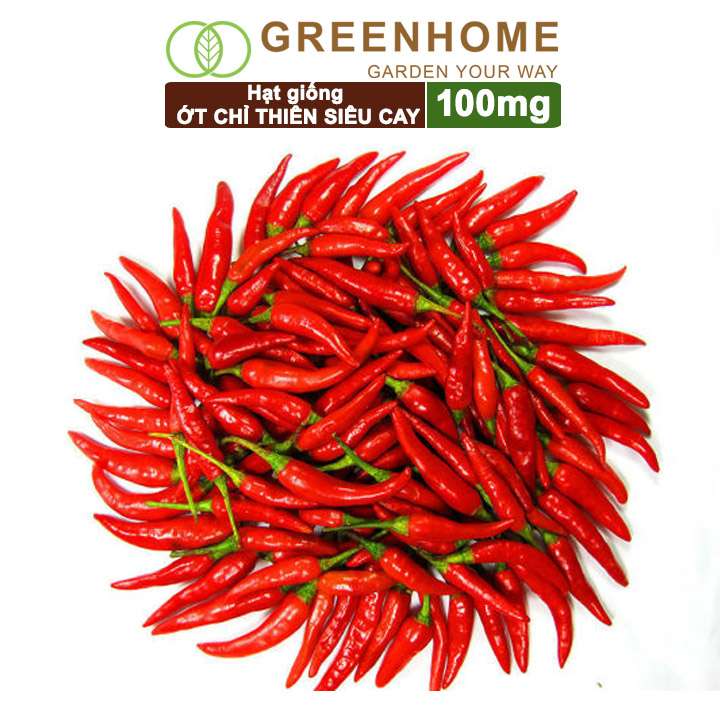 Hạt Giống Ớt Chỉ Thiên, Gói 1gr, Sai Trái, Siêu Cay, Dễ Trồng Quanh Năm, Nảy Mầm Cao, Thu Hoạch Nhanh G10