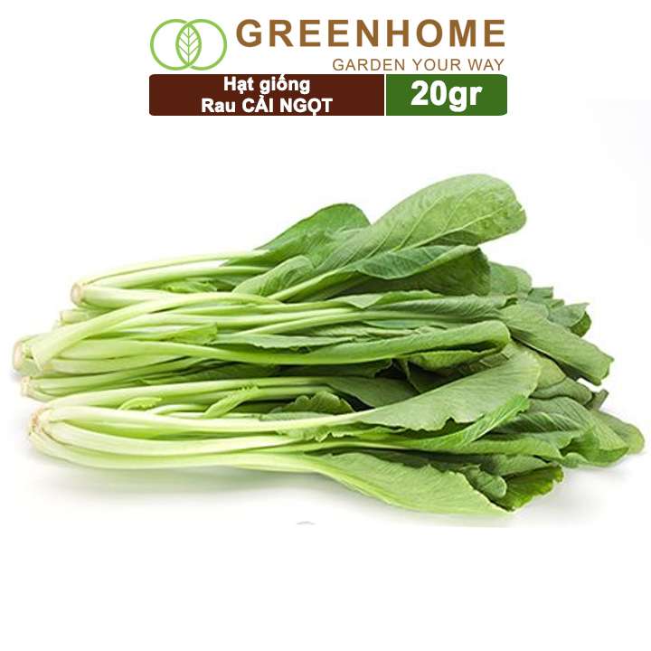 Hạt Giống Rau Cải Ngọt, Gói 20g, Dễ Trồng Quanh Năm, Nảy Mầm Cao, Thu Hoạch Nhanh, Năng Suất Cao R03