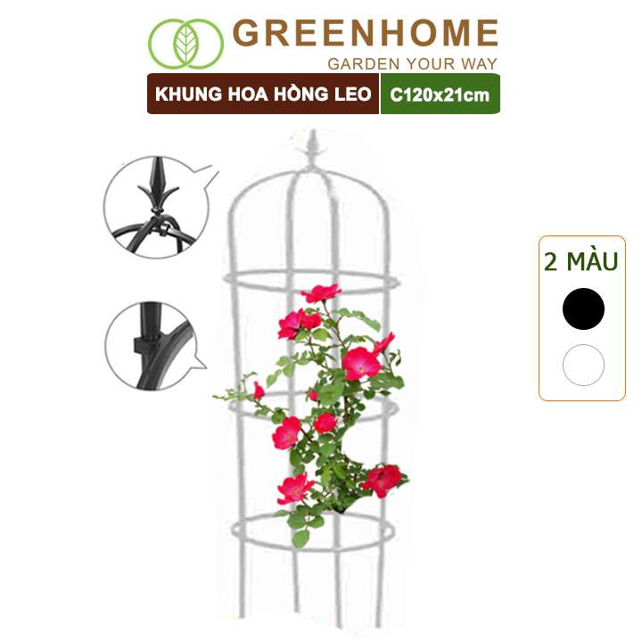 Khung Hoa Hồng Leo, Daim, Nhật Bản, Daim, C120xR21cm, Khung Cây Leo Hình Lồng Chim, Dễ Lắp Ráp, Độ Bền 5 Năm