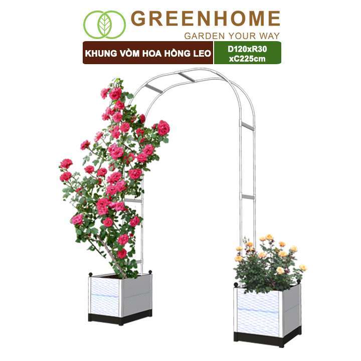 Khung Vòm Hoa Hồng Leo, Daim, Độ Bền 5 Năm, Dễ Lắp Ráp, Tăng Giảm Kích Thước Theo Không Gian