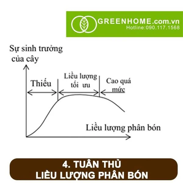 Bí quyết bón phân đúng cách để cây trồng phát triển mạnh 