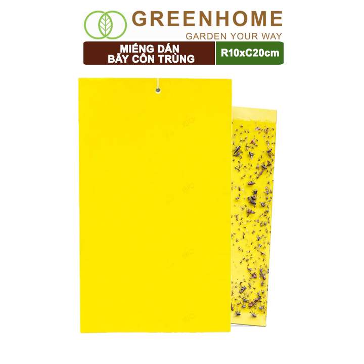 Miếng Dán Bẫy Côn Trùng, R10xC20cm, 2 Mặt, Siêu Dính, Hiệu Quả, Tiết Kiệm Chi Phí, Thân Thiện Môi Trường