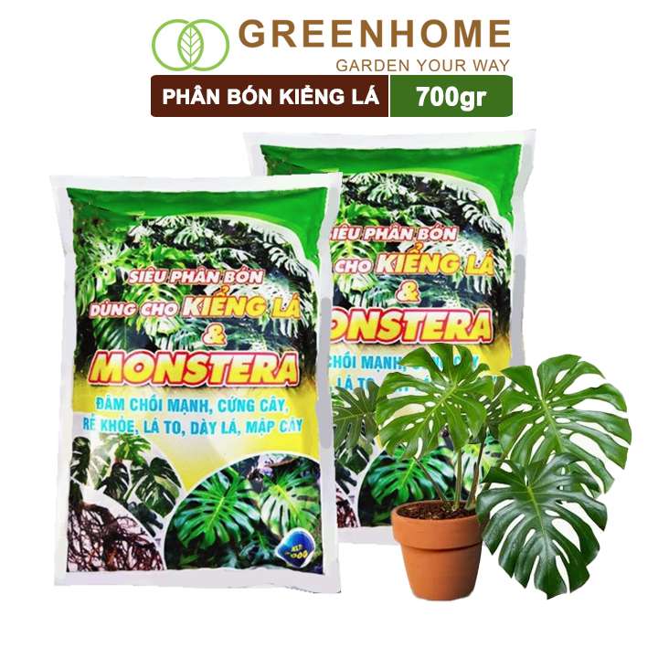 Phân Bón Cây Kiểng Lá, Bao 700gr, Trầu Bà Monstera, Cây Nội Thất, Giúp Đâm Chồi Mạnh, Rễ Khoẻ, Lá To
