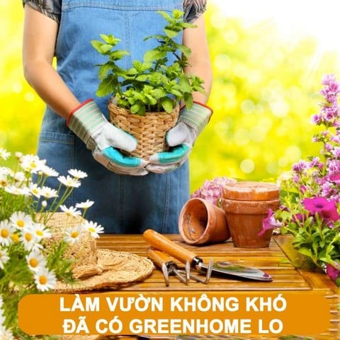 Greenhome – Giải pháp tuyệt vời để làm vườn dễ dàng