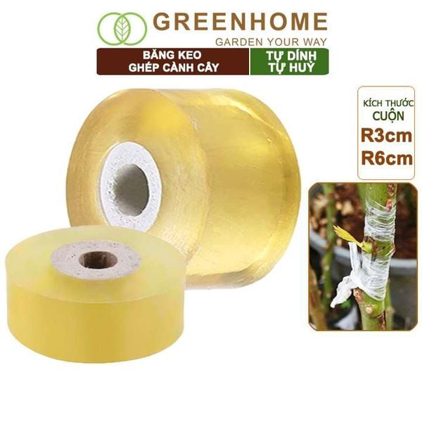 Băng keo ghép cành cây, tự dính, tự huỷ, bảo vệ mối ghép nhanh liền, nhiều kích thước |Greenhome