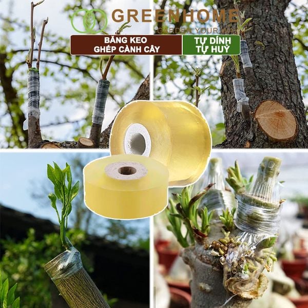 Băng keo ghép cành cây, tự dính, tự huỷ, bảo vệ mối ghép nhanh liền, nhiều kích thước |Greenhome