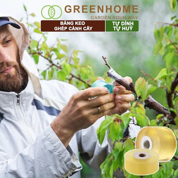 Băng keo ghép cành cây, tự dính, tự huỷ, bảo vệ mối ghép nhanh liền, nhiều kích thước |Greenhome