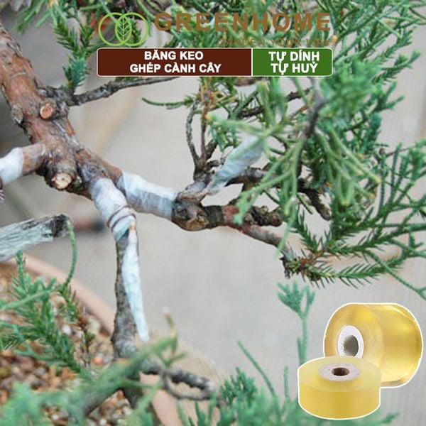 Băng keo ghép cành cây, tự dính, tự huỷ, bảo vệ mối ghép nhanh liền, nhiều kích thước |Greenhome