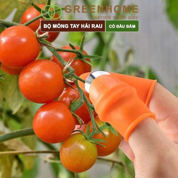 Bộ móng tay hái rau, có đầu bấm, chống bẩn móng tay, ngón cái bấm, cắt rau củ tiện lợi| Greenhome