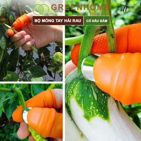 Bộ móng tay hái rau, có đầu bấm, chống bẩn móng tay, ngón cái bấm, cắt rau củ tiện lợi| Greenhome