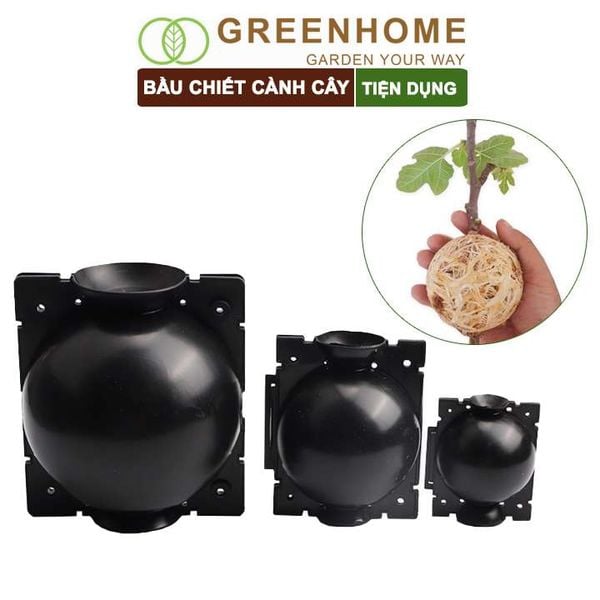Bầu chiết cành cây, tăng khả năng ra rễ, chống úng cành chiết, tái sử dụng nhiều lần, nhiều kích thước