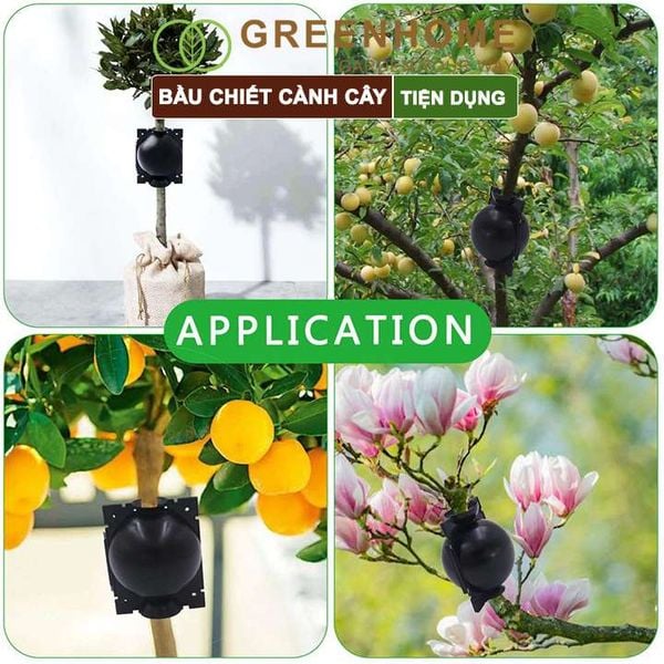 Bầu chiết cành cây, tăng khả năng ra rễ, chống úng cành chiết, tái sử dụng nhiều lần, nhiều kích thước