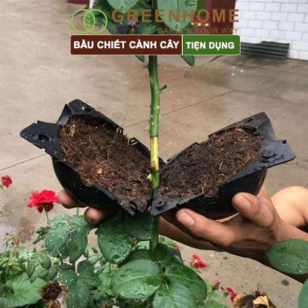 Bầu chiết cành cây, tăng khả năng ra rễ, chống úng cành chiết, tái sử dụng nhiều lần, nhiều kích thước