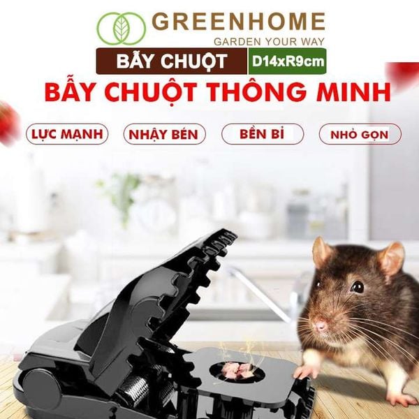Bẫy chuột thông minh