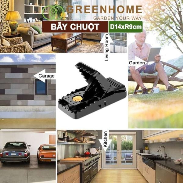 Bẫy chuột thông minh