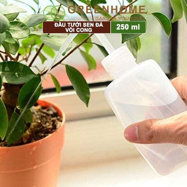 Bình tưới vòi cong, 250ml, phù hợp cho sen đá, xương rồng, tiểu cảnh mini |Greenhome