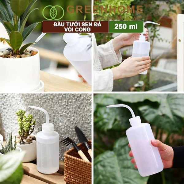 Bình tưới vòi cong, 250ml, phù hợp cho sen đá, xương rồng, tiểu cảnh mini |Greenhome