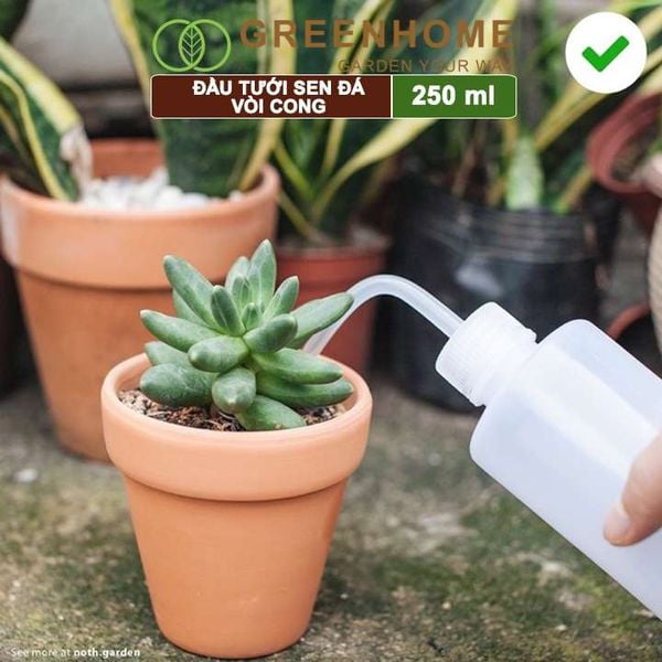 Bình tưới vòi cong, 250ml, phù hợp cho sen đá, xương rồng, tiểu cảnh mini |Greenhome