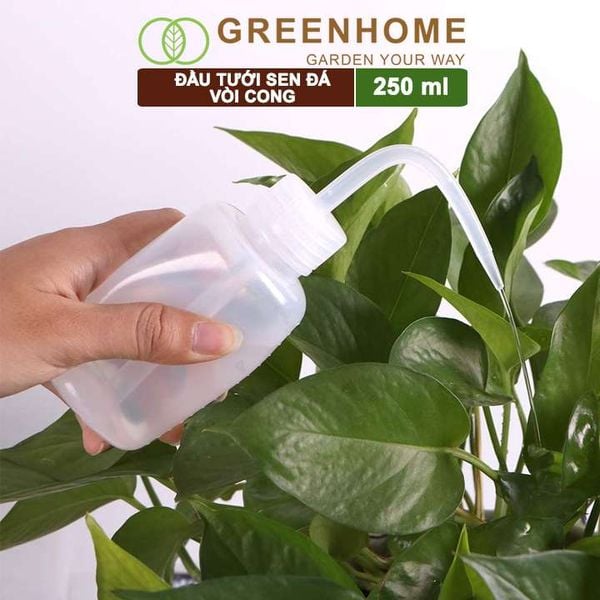 Bình tưới vòi cong, 250ml, phù hợp cho sen đá, xương rồng, tiểu cảnh mini |Greenhome