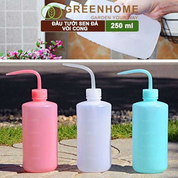 Bình tưới vòi cong, 250ml, phù hợp cho sen đá, xương rồng, tiểu cảnh mini |Greenhome