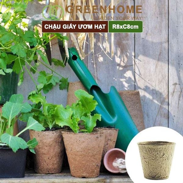 Chậu giấy ươm hạt, D8xR8cm, bằng giấy hữu cơ tự phân huỷ, tiện lợi, ươm cây giống, hạt giống |Greenhome