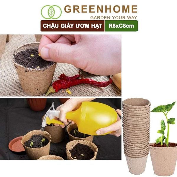 Chậu giấy ươm hạt, D8xR8cm, bằng giấy hữu cơ tự phân huỷ, tiện lợi, ươm cây giống, hạt giống |Greenhome