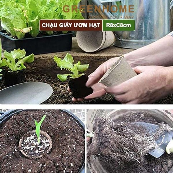 Chậu giấy ươm hạt, D8xR8cm, bằng giấy hữu cơ tự phân huỷ, tiện lợi, ươm cây giống, hạt giống |Greenhome