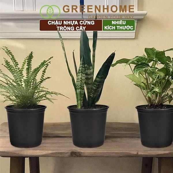 Chậu nhựa trồng cây, đa dạng kích thước, nhựa cứng, thoát nước tốt, trồng cây, hoa, kiểng lá |Greenhome