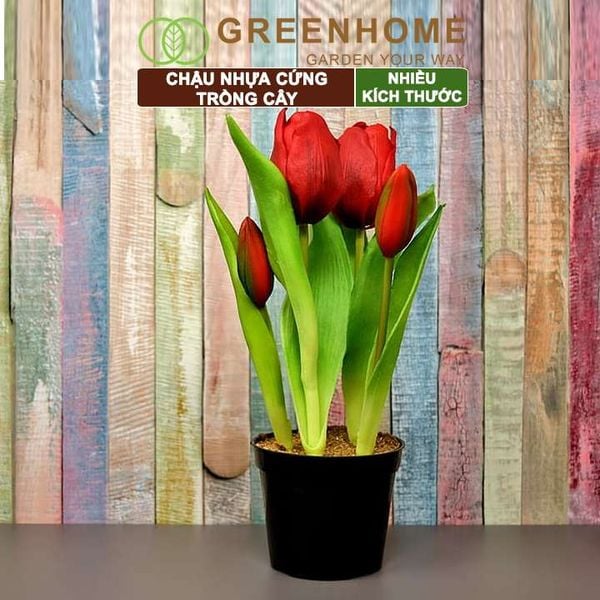 Chậu nhựa trồng cây, đa dạng kích thước, nhựa cứng, thoát nước tốt, trồng cây, hoa, kiểng lá |Greenhome