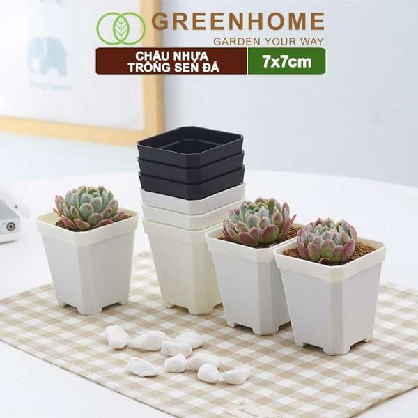 Chậu nhựa trồng sen đá, 7x7cm, bền, đẹp, màu sắc hiện đại, màu ngẫu nhiên, không dĩa Greenhome