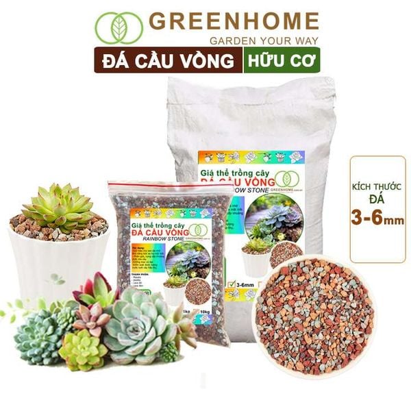 Đá cầu vồng Greenhome, kích rễ, đậm màu, thoát nước tốt, chuyên xương rồng, sen đá, bonsai
