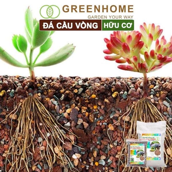 Đá cầu vồng Greenhome, kích rễ, đậm màu, thoát nước tốt, chuyên xương rồng, sen đá, bonsai