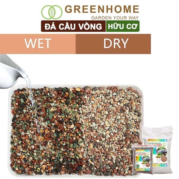 Đá cầu vồng Greenhome, kích rễ, đậm màu, thoát nước tốt, chuyên xương rồng, sen đá, bonsai